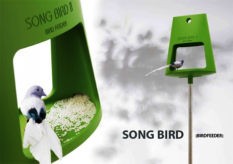 bird-feeder1