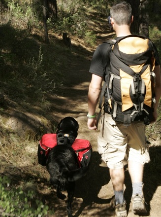 Hiking With Dog