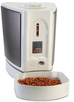 Best Automatic Pet Feeder