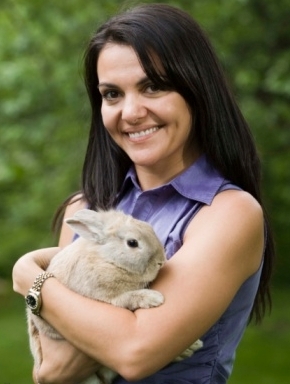 Facts About Rabbits as Pets
