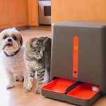How to Choose the Best Automatic Pet Feeder