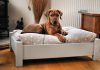 30-Unique-and-Modern-Pet-Beds