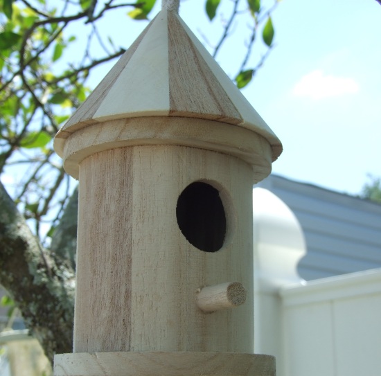 useful tips to remember while you purchase a bird house