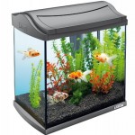 fish tank gadgets every aquarium owner must have