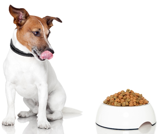 pros and cons of grain free dog food