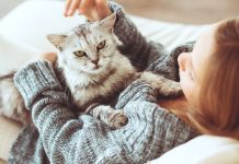 5 Things you should avoid doing with your cats