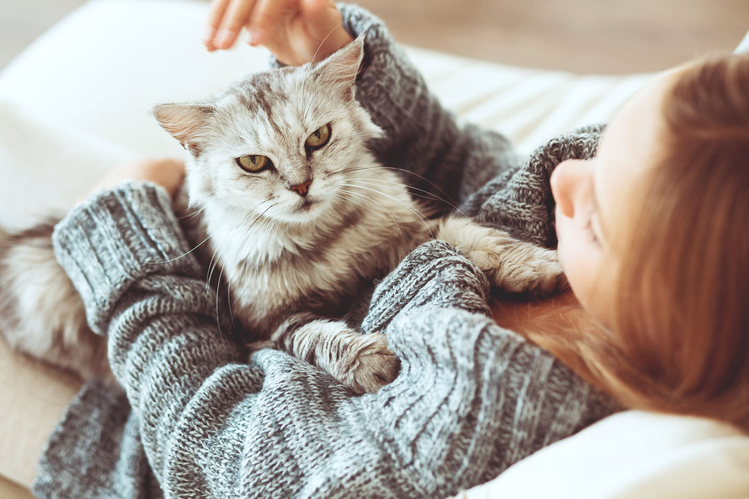 5 Things you should avoid doing with your cats 