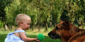 Ideas to Make Kids Bond with Your Pets