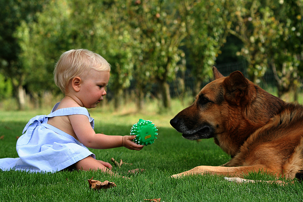 Ideas to Make Kids Bond with Your Pets