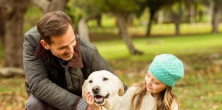 6 Ways to Improve Your Bond With Your Pet