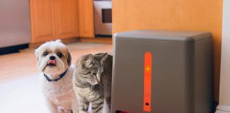 How to Choose the Best Automatic Pet Feeder