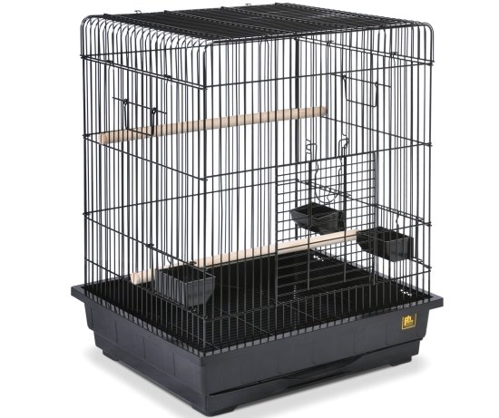 planning to buy a parrot bird cage