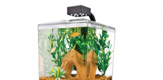 The Top Five Fish Tank Gadgets Every Aquarium Owner must have