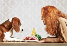 10 people foods that should not be given to pets